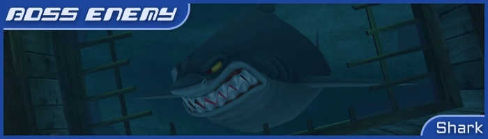 Shark